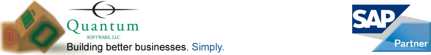 Quantum Software, Building Better Businesses. Simply.